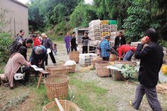 �Ĵ��ڽ��а����Ϊ��������˫�����ƶע�롰���ٶȡ�