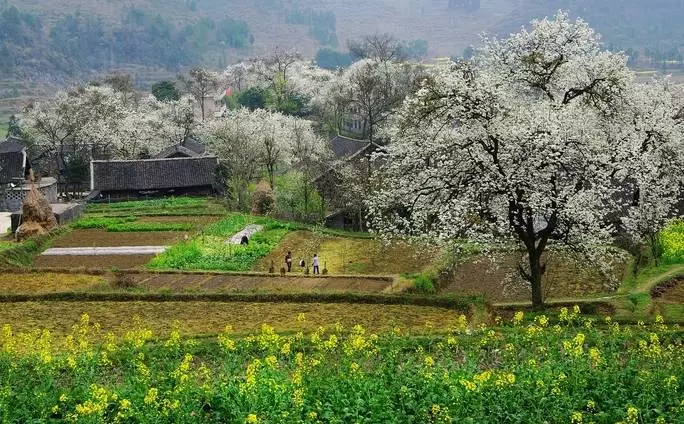 乡村旅游 返回首页