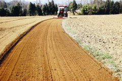 ����������һ�괺��ʱ ϲ��ũҵ�±仯