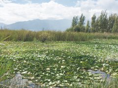 ���ϴ�������ע���� ��ְΪ��