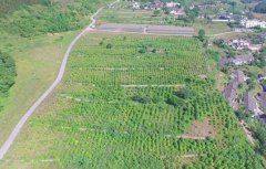 �Ĵ������ؼӿ���Ŀ��������������ƶ������սȫʤ