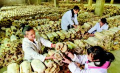 ����������2000����Ⱥ�ڼ��ſھ�ҵ�¸�