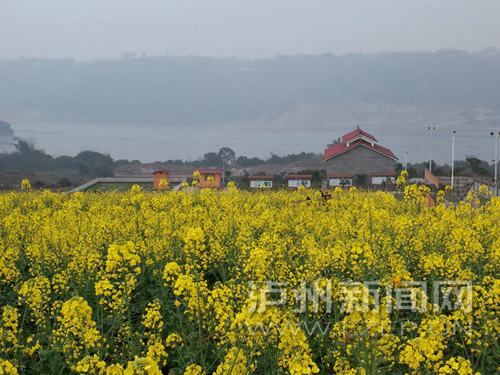 �����������������Ӵ���Ͳ˻�����������������ǰ��̤�ࡣ