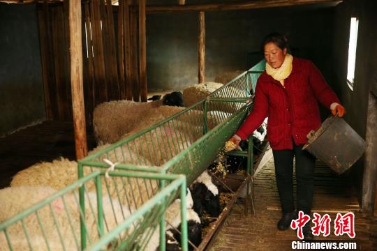 贵州“晴隆模式”留住了水土致富了乡民