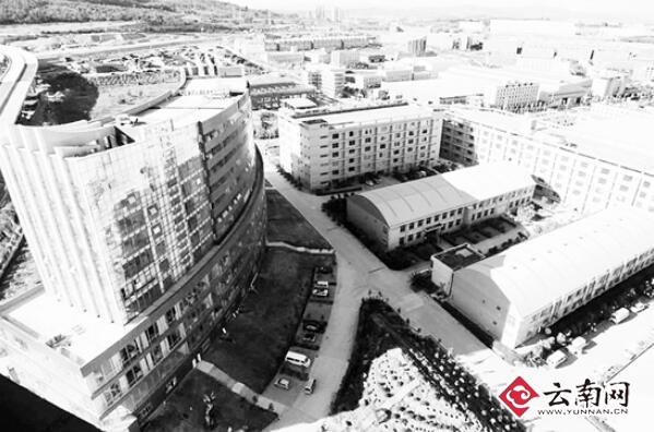 云南海归创业园建立七大公共服务平台为海归创业者提供育林式全程服务