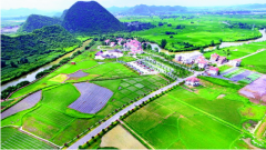 ���ݣ�ũ�幫·���������ս���չ� �������Ϊ�¸�·