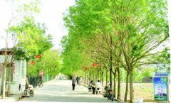 ���ࣺ�����а�������ٴ����ũ���˾ӻ����ƶ�������彨��