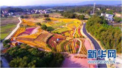 ���ݣ�����������塰�����桱 ��������71���������