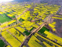 ���ϣ������и��ػ����ƽ�������彨��