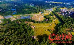 ����:��������71��������� �����ﵽ160��