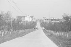 ������ӣ�����������彨���·��