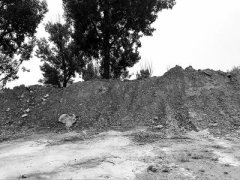 ������ ˳�塢������������ദ���������ѻ���ɽ