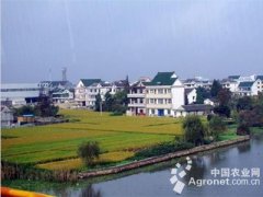 �㽭ũ��ĸ���������