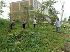 ���գ�ʯ�����������ߡ���̬������������彨��