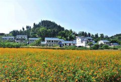 ���֣������������ ��������ִ���ũҵʾ����