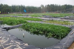 �Ĵ���������Ͷ10�ڴ�����̬ѭ����Ŀ