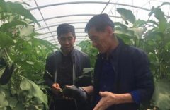 甘肃:古浪县井泉乡夹山岭村党支部书记胡中山 卖家当