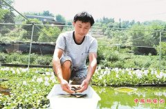 Ĵݻ Сꡱ¸·
