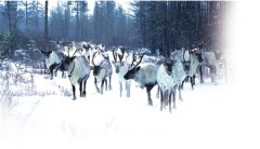 �趯����Դ ���ɹ����ν���ȫ��ʱ��