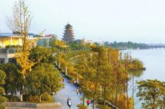 ��̬�������� ʪ�س�����ɫ��