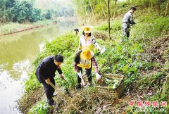 ��Ա��Ⱥ��������ɨ ������廷��