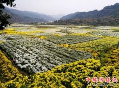 ������Ұ�պ���