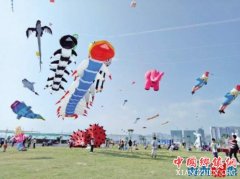 2017�ڶ���˫�㵺���ʷ��ݽ����ܾ��� ������ֻ������ݽ�¶��