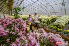 2017�ھŽ�ջ���ʳ���ڱ���ƽ�ȿ�Ļ