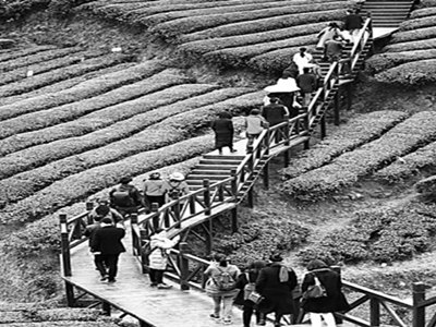 �������ս�ԣ�ũ�巢չ����ͼ