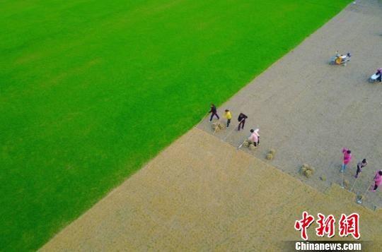 点击图片翻到下一页>> 探访江苏如皋特色田园乡村:处处是风景 花木富村民