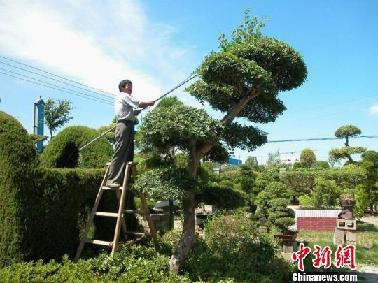 点击图片翻到下一页>> 探访江苏如皋特色田园乡村:处处是风景 花木富村民