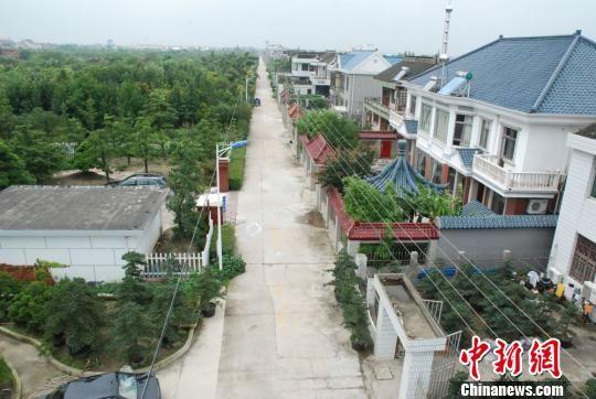 点击图片翻到下一页>> 探访江苏如皋特色田园乡村:处处是风景 花木富村民