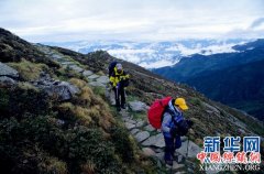 ������ҵ�ֹ���ȫ����һ��5��ɭ�ֲ�������