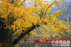 ����ʱ�� �����꽭�Ͽ���԰����