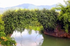 ���ϣ����귢������ʯ����