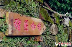 �ڶ����й����������̳�ߵ���������̳�α��߽��������вιۿ���