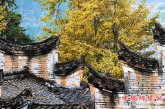 �㶫��������Э�׼���ũ��ʾ���崴������