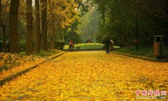 �ɶ���ȫ���ӹ���ָ�ϳ�¯