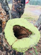 �½�һ��һ�߾ȱ�Σ������Ⱥ �������ѩ��