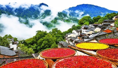 �������� �������� ���ڻ���