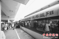 ʯ�������������������ר���׷�����