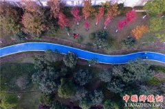 �㽭��Ϫ���������̵���������ɫ����