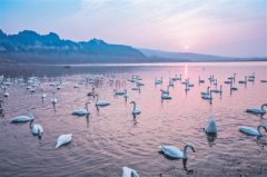 �ƺ�ʪ����̬�� ��ǧ���Ϸ��ˮ