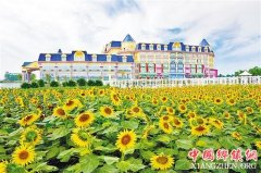 �������Ϲ��ͻ����ﶬ��ǻ�����ԭ��ͼ��