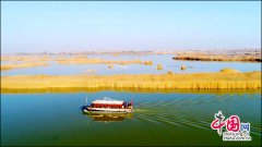 ����ɳ�����ݳɹ���ѡȫ����ʮ�������Ǽ����ꡱ