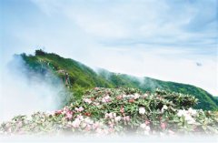 ǧ��ŵ�����ɽ