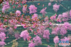 �����Ͻ�������ӣ��������