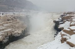 �����ٲ�ӭ��ѩ