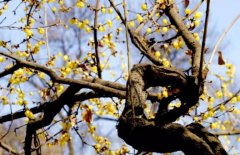 ���춬����ǿ�ͻ����Գ�¯ ������Ҫ�ٵ�һ��