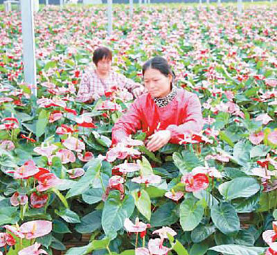 ����ʡ������ʵʩ�������ս�ԣ�����������������